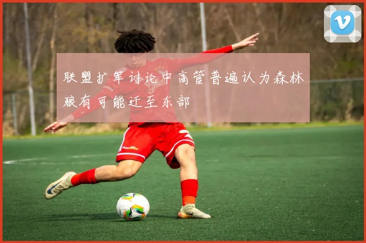 联盟扩军讨论中高管普遍认为森林狼有可能迁至东部